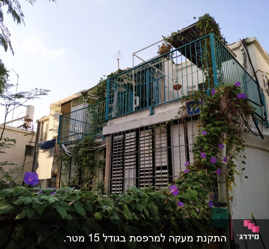 מעקה מתכת כחול עם צמח מטפס ופרחים סגולים